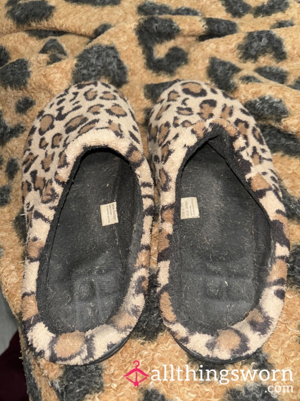 Worn-down House Slippers