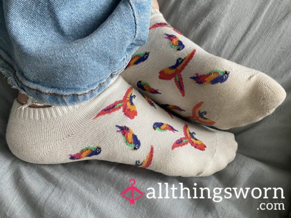 🦜Worn No-show Parrot Socks 🦜