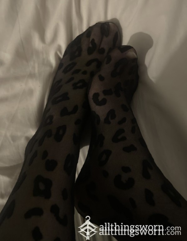 Worn Pantyhose/nylons/tights Xx