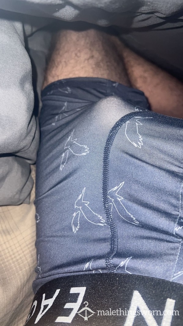 Worn Smelly American Eagle Underwear