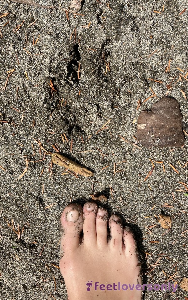 ForestFeet