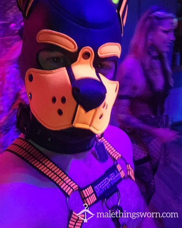 Pupboy_hunter